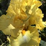 Profile Picture of Robert Staalstra (@robertstaalstra) on Instagram