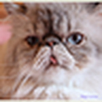 Profile Picture of Lorenzo D. (@Delugan Lorenzo) on Flickr