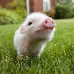 Profile Picture of _martin_rojas_ (@_martin_rojas_) on Instagram