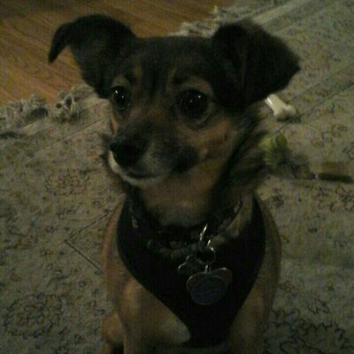 Profile Picture of Anne Bloom (@annebloom22) on Twitter