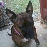 Jeff Bonar - Quora Profile Picture of Jeff Bonar (@jeff-bonar-2) on Quora