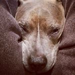 Profile Picture of Brian Ozinga (@brianozinga) on Instagram