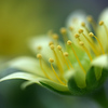 Profile Picture of Ruth Sutherland (@Ruth Sutherland Photography) on Flickr