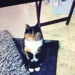 Profile Picture of Chloe Faria (@chloe.faria.2025) on Facebook