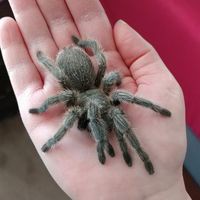 Profile Picture of Lisa Arcond (@lisa-arcond-1) on Quora