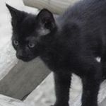 Profile Picture of Hansruedi Tobler (@hansrueditobler) on Instagram