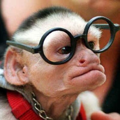 Profile Picture of Sam Cadwallader (@TREXBOY66) on Twitter