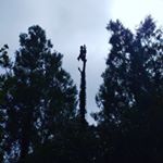Profile Picture of Paul Nathaniel Corner (@pncarb) on Instagram