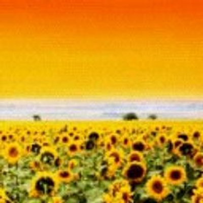 Profile Picture of David Talmage (@DavidTalmage3) on Twitter