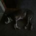 Profile Picture of Mark Sautter (@mark.sautter.946954) on Facebook