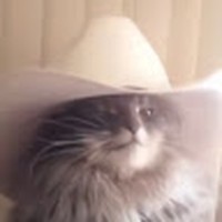 Profile Picture of Wyatt Fitzgerald (@wyatt-fitzgerald-10) on Quora