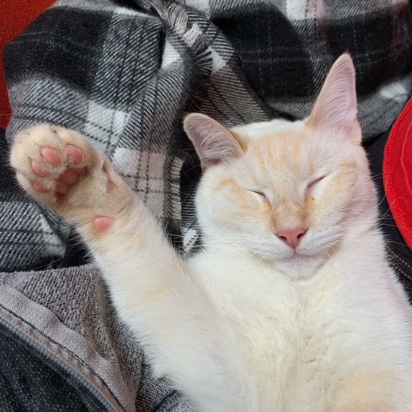 Profile Picture of Christopher Capili (@pixelpusher008) on Poshmark