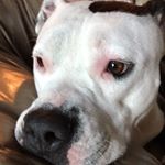 Profile Picture of Alex Sarver (@sarver_alex) on Instagram