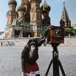 Profile Picture of Robert Bonk (@robertbonk1) on Instagram