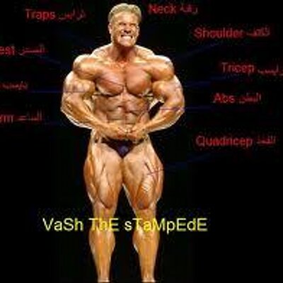 Profile Picture of John Morison (@@johnmorison8) on Twitter