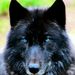 Profile Picture of Gamaliel Andrades (@gamalielandrades) on Pinterest