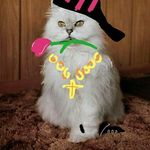 Profile Picture of James Harman (@streetcatldn) on Instagram