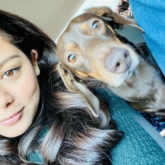 Profile Picture of Michelle Freije (@sarahifreije) on Poshmark