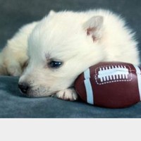 Profile Picture of Alexis Dart (@alexis-dart) on Quora