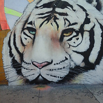 Profile Picture of NANCY SILVA (@silva.nancy60) on Flickr