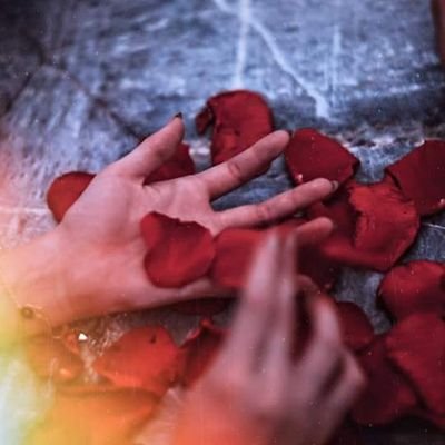 Profile Picture of Eli Quintal (@QuintalEli) on Twitter