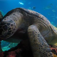 Profile Picture of Misty Knotts (@misty-knotts) on Quora