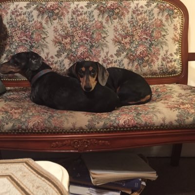 Profile Picture of Raymond Lampe (@rlampe4134) on Twitter