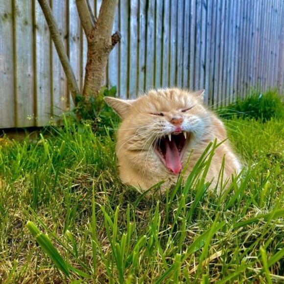 Profile Picture of Delyth Roberts (@delythrbrts) on Poshmark