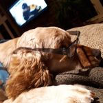 Profile Picture of Greg Bright (@brights14) on Instagram