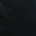 Profile Picture of Kayleigh (@weaverkayleigh) on Instagram