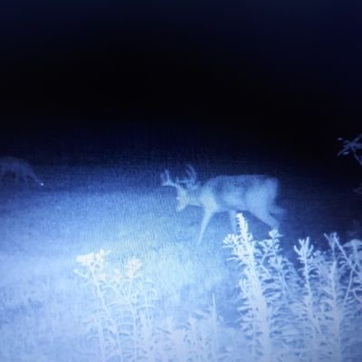 Profile Picture of Douglas Mullins (@Douglas51120701) on Twitter