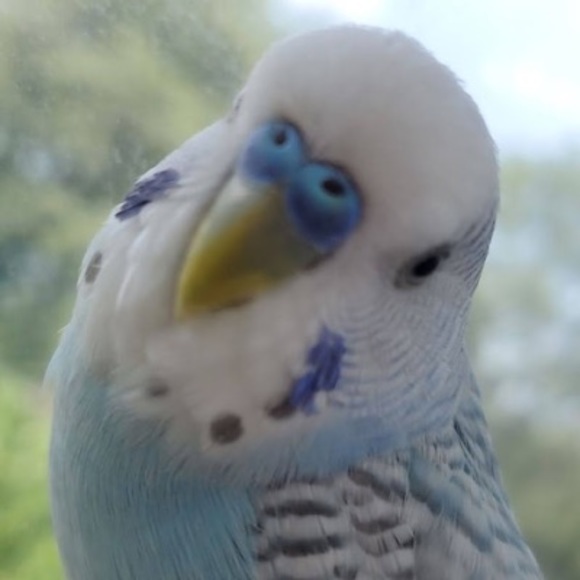 Profile Picture of Joana Colocho (@joanacolocho) on Poshmark