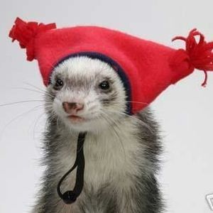 Profile Picture of Paul Rosas (@paul_rosas) on Myspace