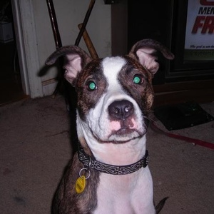 Profile Picture of Bobbie Profitt (@403661550) on Myspace