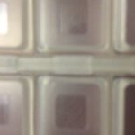 Profile Picture of Bruce Wayne (@bacon_loves_jason) on Instagram