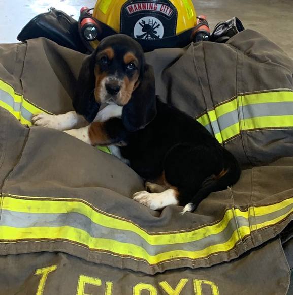 Profile Picture of Travis Floyd (@manningcityfire) on Poshmark
