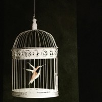 Profile Picture of Fern Harrison (@fern-harrison-8) on Quora