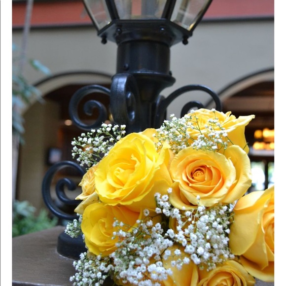 Profile Picture of Elke Knecht (@elkexoxo) on Poshmark