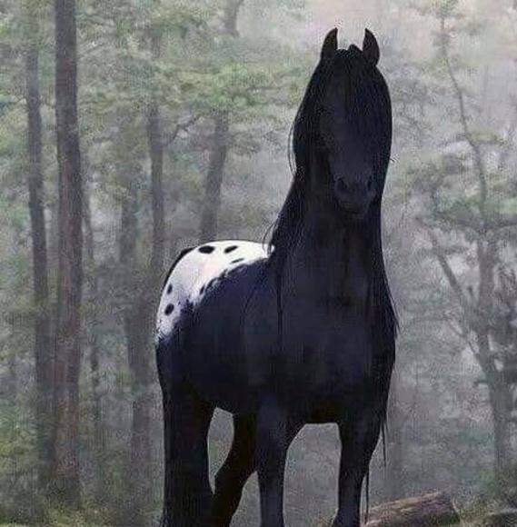 Profile Picture of Consuelo Favela favela (@chelitofavela) on Poshmark