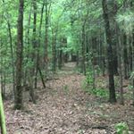 Profile Picture of Drew Perkins (@a.curse.to.the.worst) on Instagram