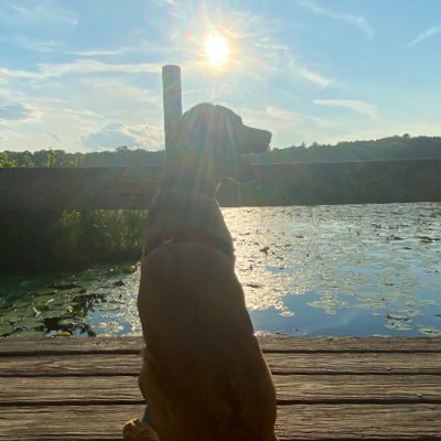 Profile Picture of Brigid Casey (@BrigidCasey6) on Twitter