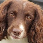 Profile Picture of mike redman (@redman4442) on Instagram