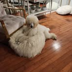 Profile Picture of Paula Lunde (@paula.lunde) on Facebook