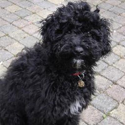 Profile Picture of Ellen Brouwer (@EllenBrouwer1) on Twitter