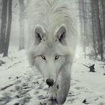 Profile Picture of Jacob Ewald (@jmewald) on Instagram