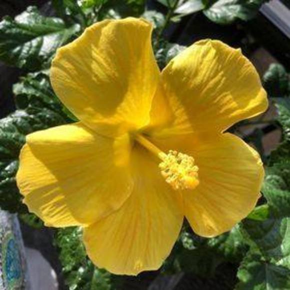 Susan Turnbaugh - Poshmark Profile Picture of Susan Turnbaugh (@susanturnbaugh) on Poshmark