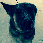 Profile Picture of Mike Boyer (@mabmab68) on Flickr