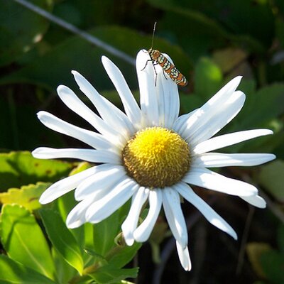 Profile Picture of Lisa M. Moffa (@timelessmediaco) on Twitter