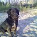 Profile Picture of Linda Pingolt (@lping) on Pinterest