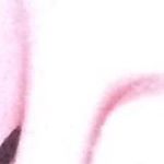 Profile Picture of Colby And Tate (@colby__tate) on Instagram